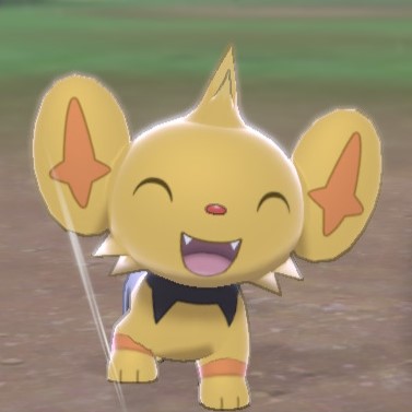 Shinx