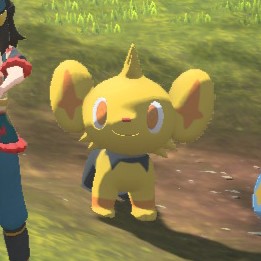 Shinx