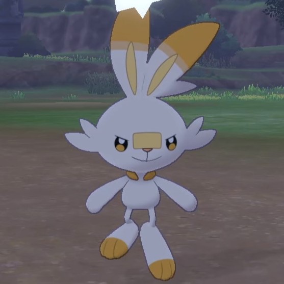 Scorbunny