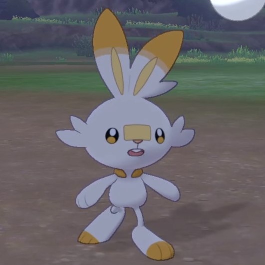 Scorbunny